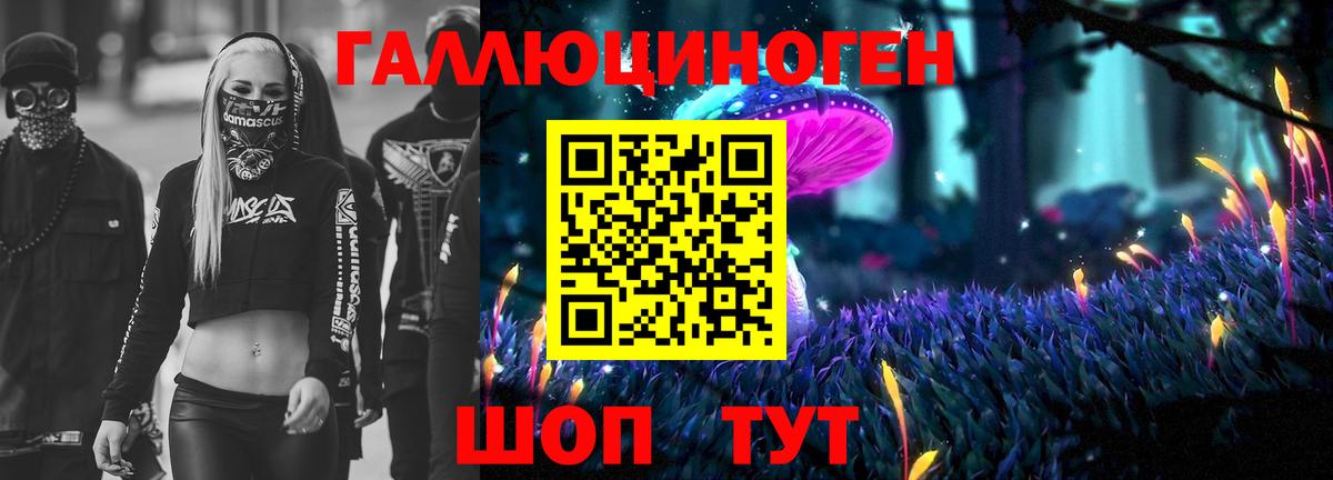 Галлюциногенные грибы мицелий Горно-Алтайск